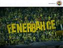 goldenstarait Kullanc Resmi (Avatar)